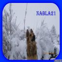 nabla21