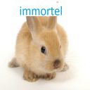 immortel