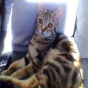 lilouchevaline