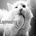 Lapinou255