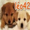 leo42