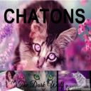 CHATONS