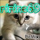 ririne69