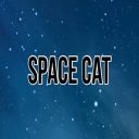 Space Cat