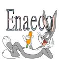 Enaeco