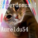 aureldu54