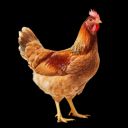 Alconis ☭