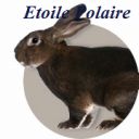 Etoile Polaire