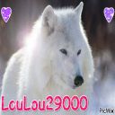 loulou29000