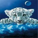 doudou60