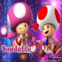 toidette