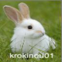 krokinou01