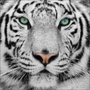 mathieuc123