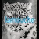 lamouche