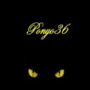 ponyo36