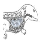 lapindeuxtrois