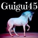 Guigui45