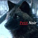 Petit Noir