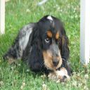 killian2002214