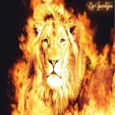 Fire lion 