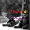 Pacha & Charlot