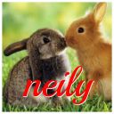 neily