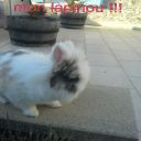 loulou70