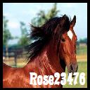 Rose23476