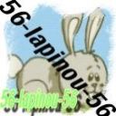 56-lapinou-56