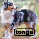 tonga17