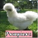 Pompinou74