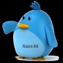 naice.84