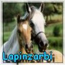 lapinzarbi