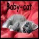 baby-cat