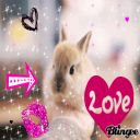 jline
