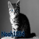 noah1234
