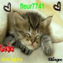 fleur7741