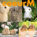 coeurM