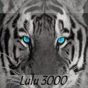 lulu 3000