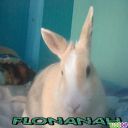 FLONANAH