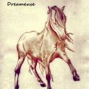 dreameuse♥