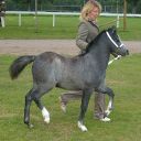 Clea12