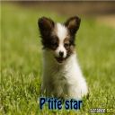 p'tite star