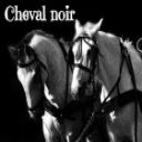 Cheval noir