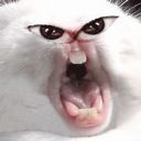 OlIa