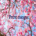 petite mangue