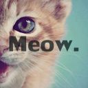 Meow