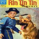 rintintin29