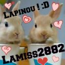 lamiss2882