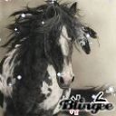 blandine9